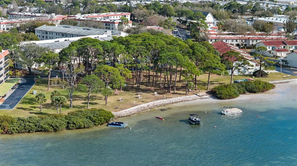 2700 BAYSHORE BOULEVARD #4106 Dunedin, FL 34698