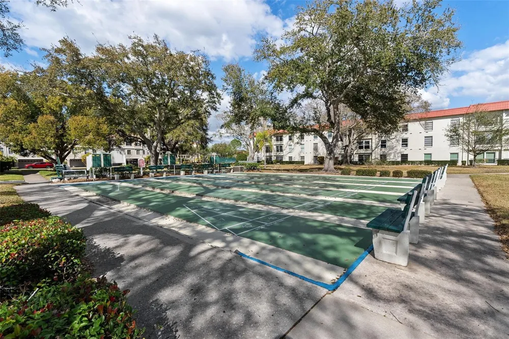 2700 BAYSHORE BOULEVARD #4106 Dunedin, FL 34698