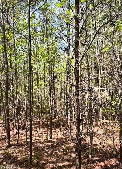 0 Tate Road Reidsville, NC 27320