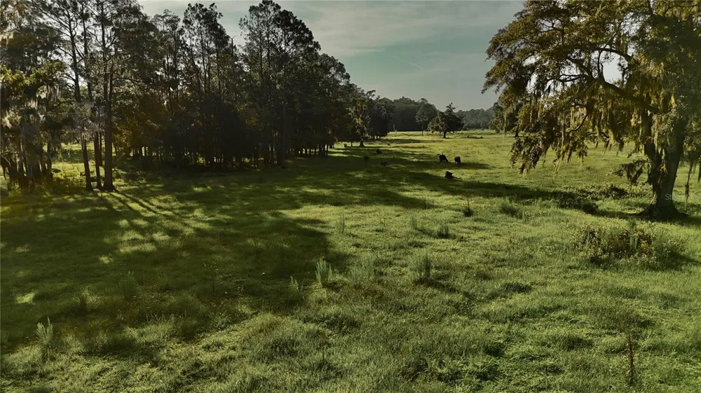 4802 NW 50TH ROAD Starke, FL 32091