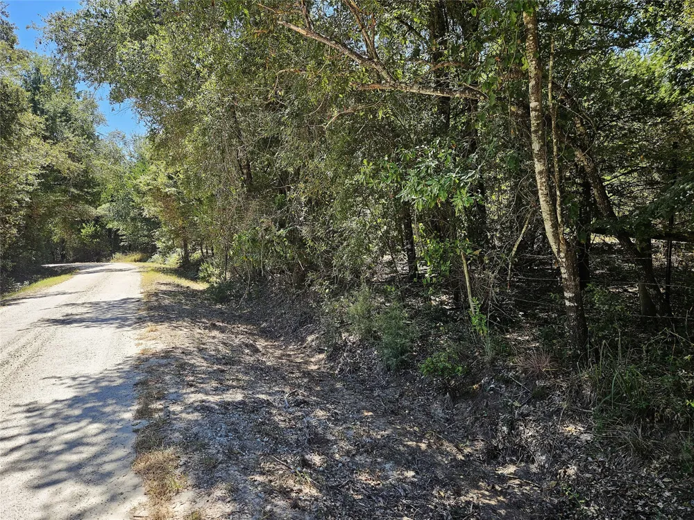 3 Love Road Kosse, TX 76653