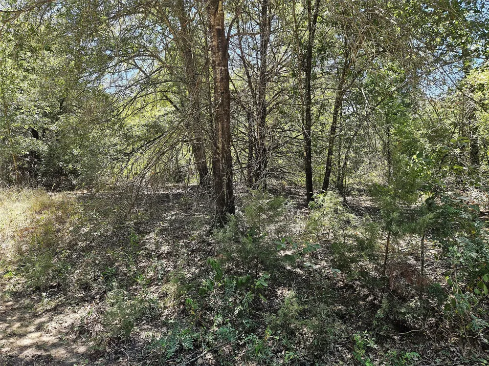 3 Love Road Kosse, TX 76653