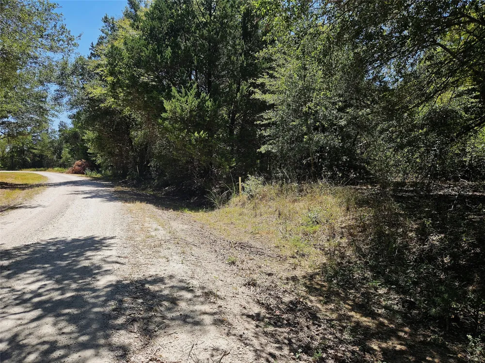 3 Love Road Kosse, TX 76653