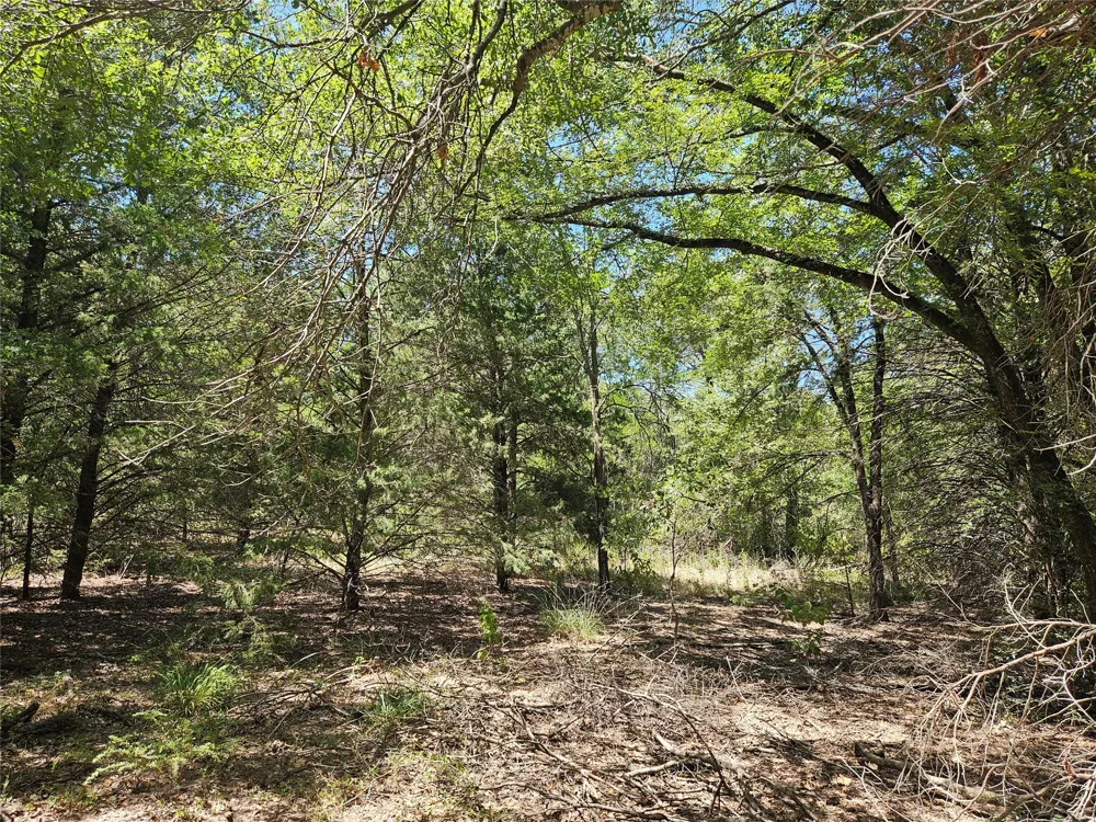 3 Love Road Kosse, TX 76653