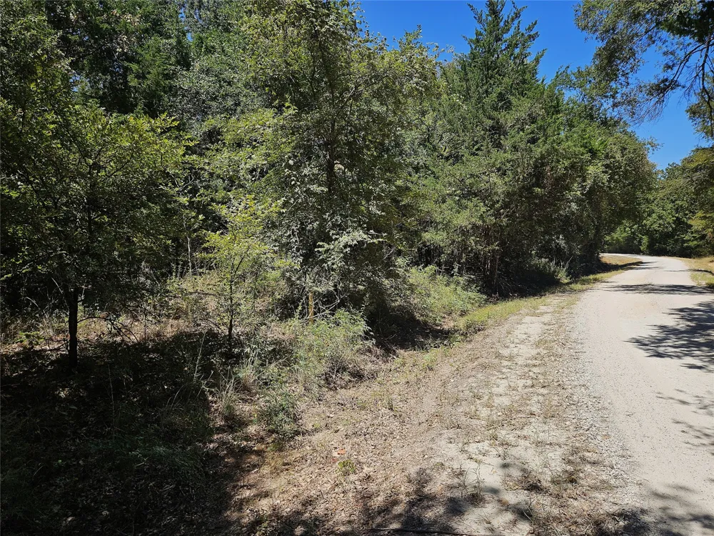 3 Love Road Kosse, TX 76653