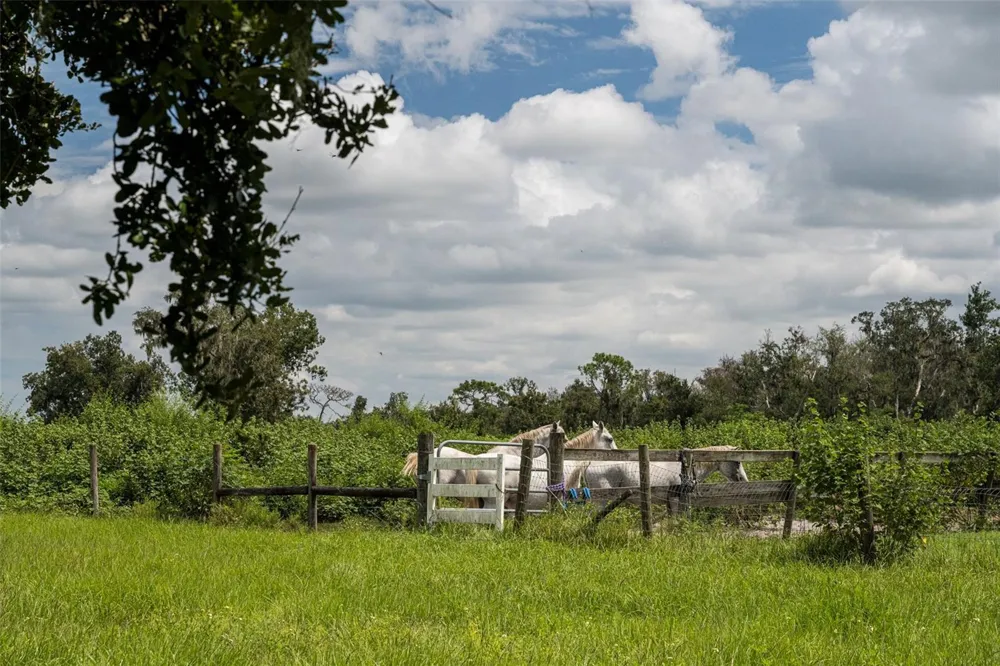 32715 SINGLETARY ROAD Myakka City, FL 34251