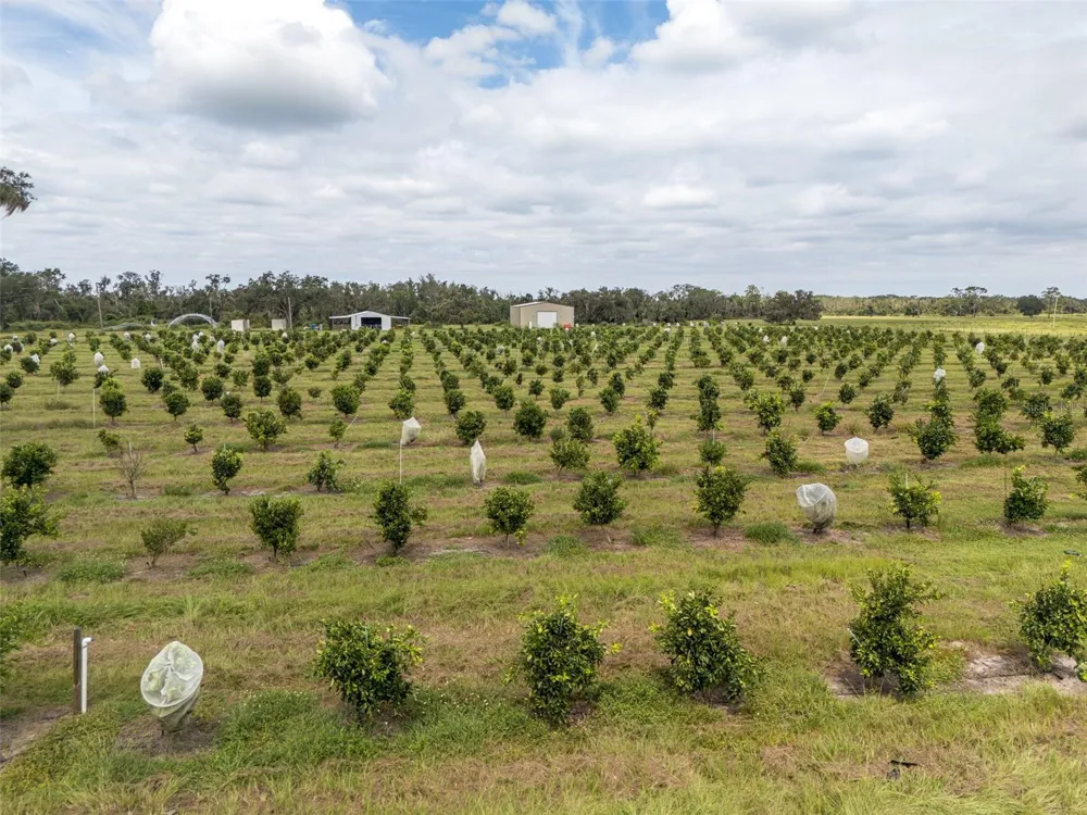 32715 SINGLETARY ROAD Myakka City, FL 34251