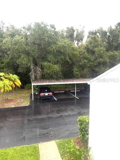 2060 MARILYN STREET #209 Clearwater, FL 33765