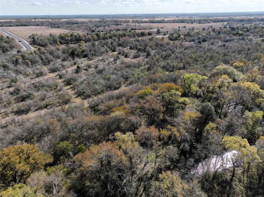 Channing Wills Point, TX 75169