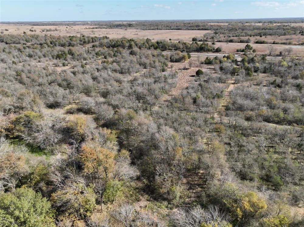 Channing Wills Point, TX 75169