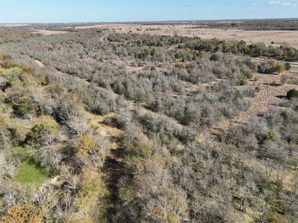 Channing Wills Point, TX 75169