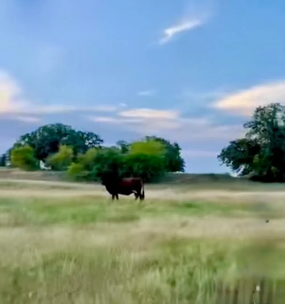 2186 Gilliland Road Springtown, TX 76082