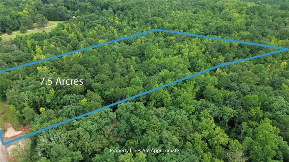 0 Roosevelt HWY - LOT 1 Warm Springs, GA 31830