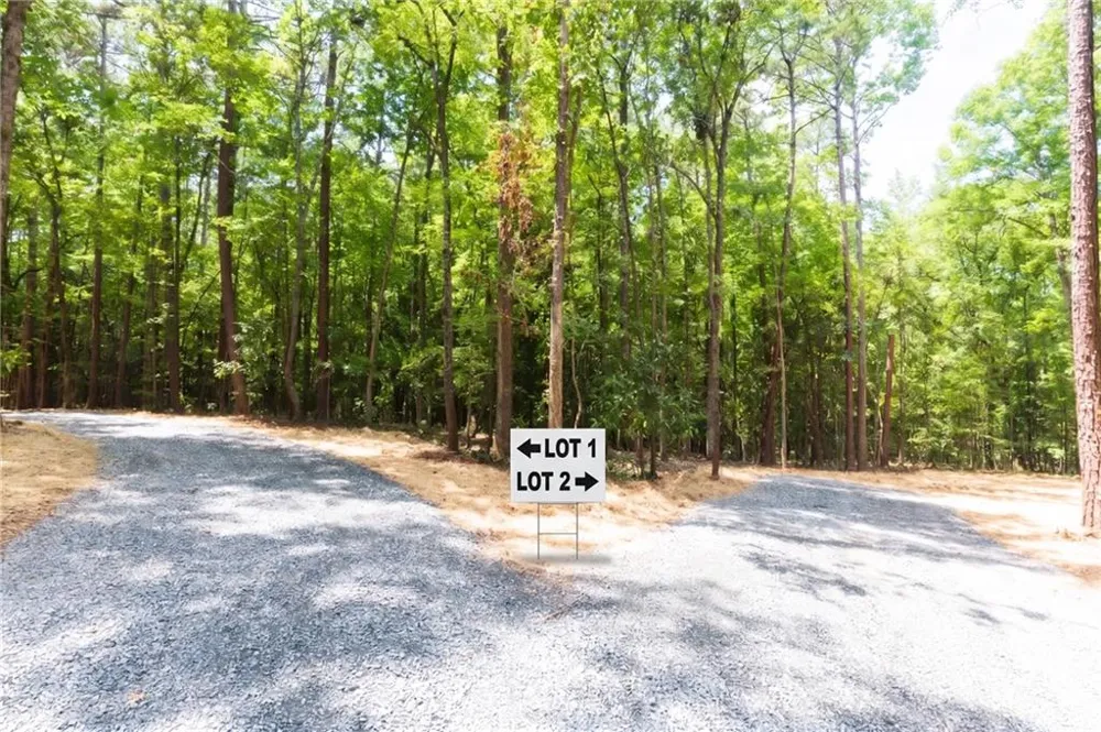 0 Roosevelt HWY - LOT 1 Warm Springs, GA 31830