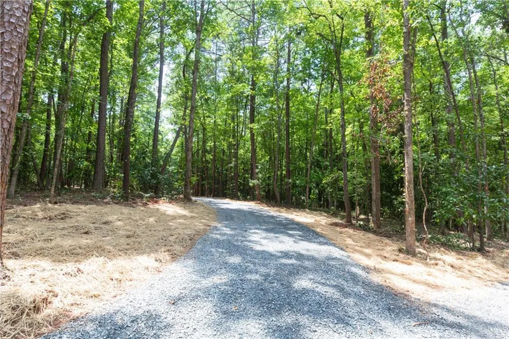 0 Roosevelt HWY - LOT 1 Warm Springs, GA 31830