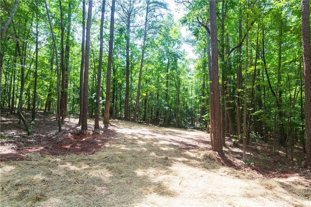 0 Roosevelt HWY - LOT 1 Warm Springs, GA 31830