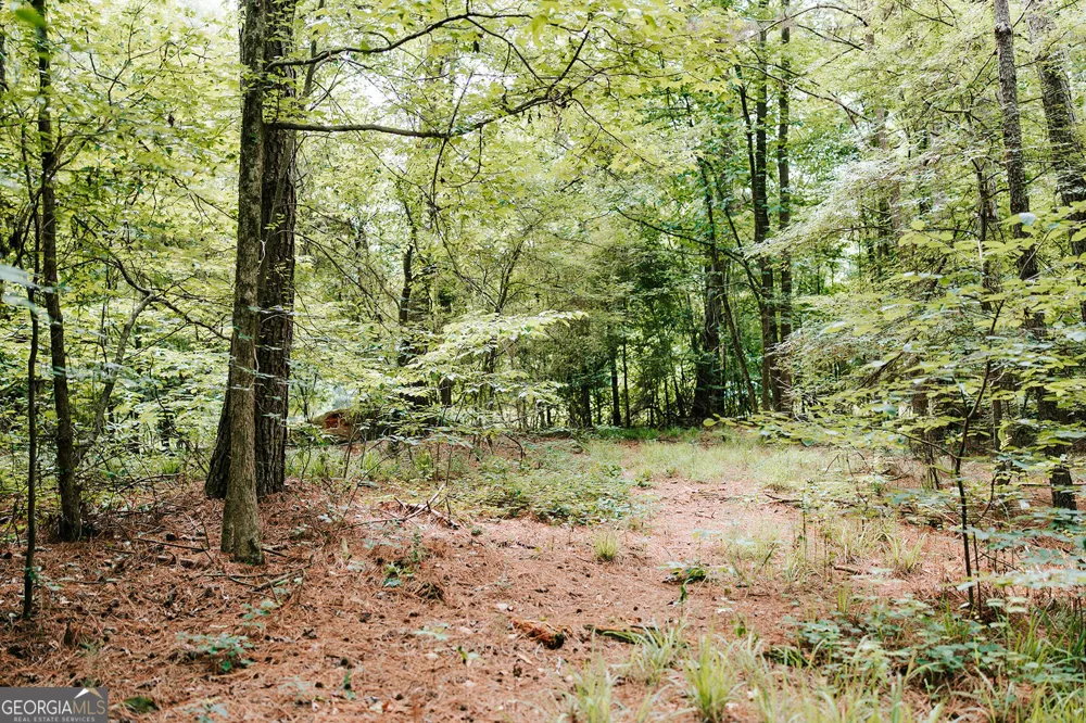 0 Stephens Salem RD Stephens, GA 30667