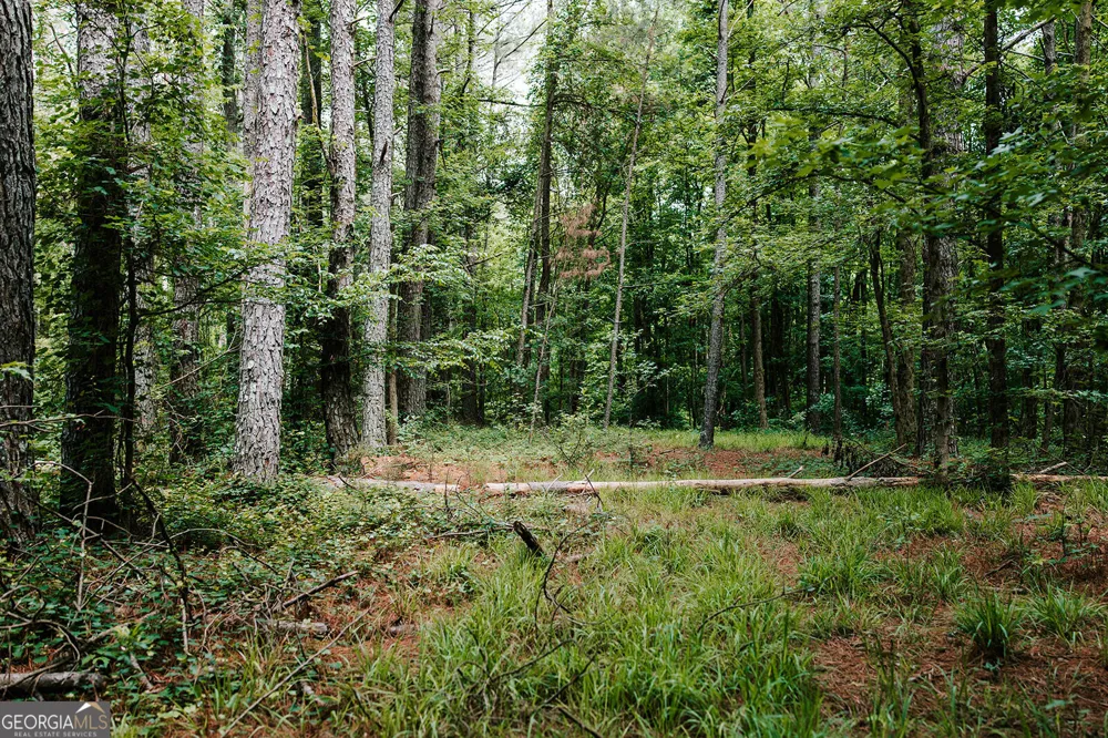 0 Stephens Salem RD Stephens, GA 30667