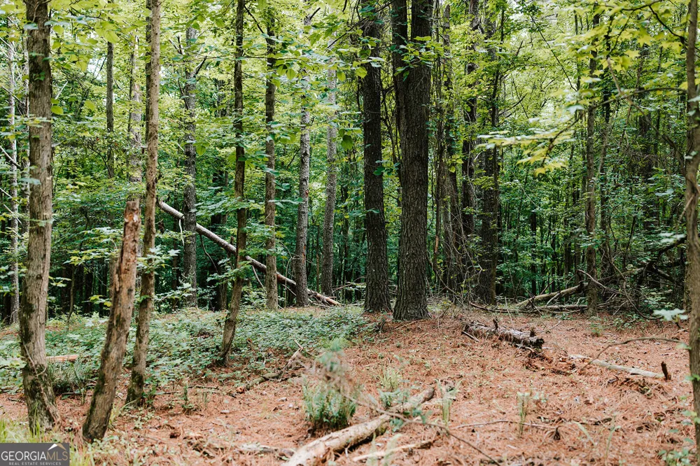 0 Stephens Salem RD Stephens, GA 30667