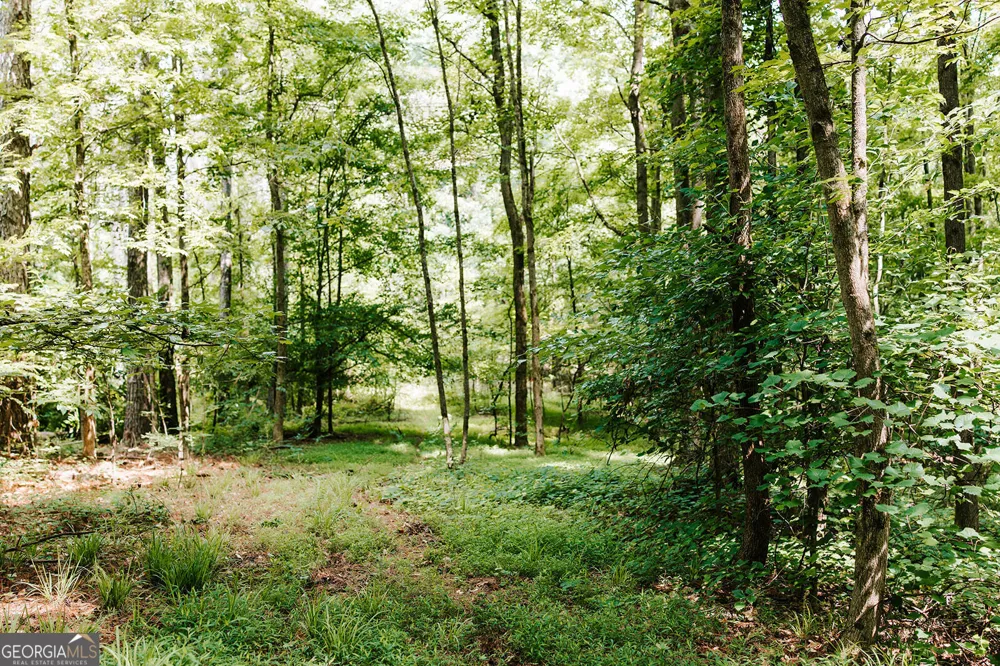 0 Stephens Salem RD Stephens, GA 30667