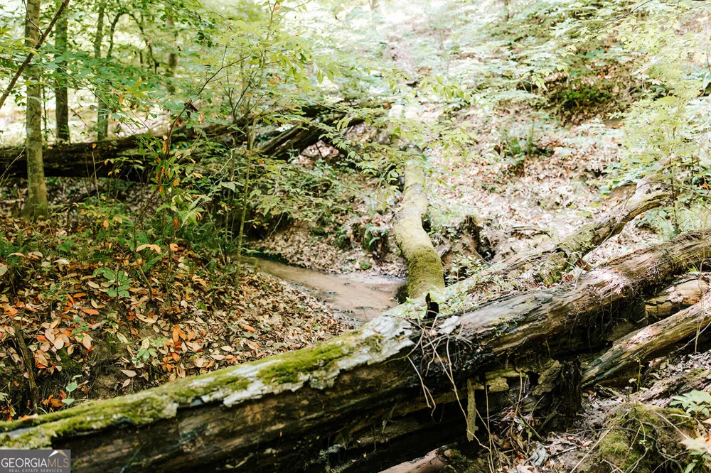 0 Stephens Salem RD Stephens, GA 30667