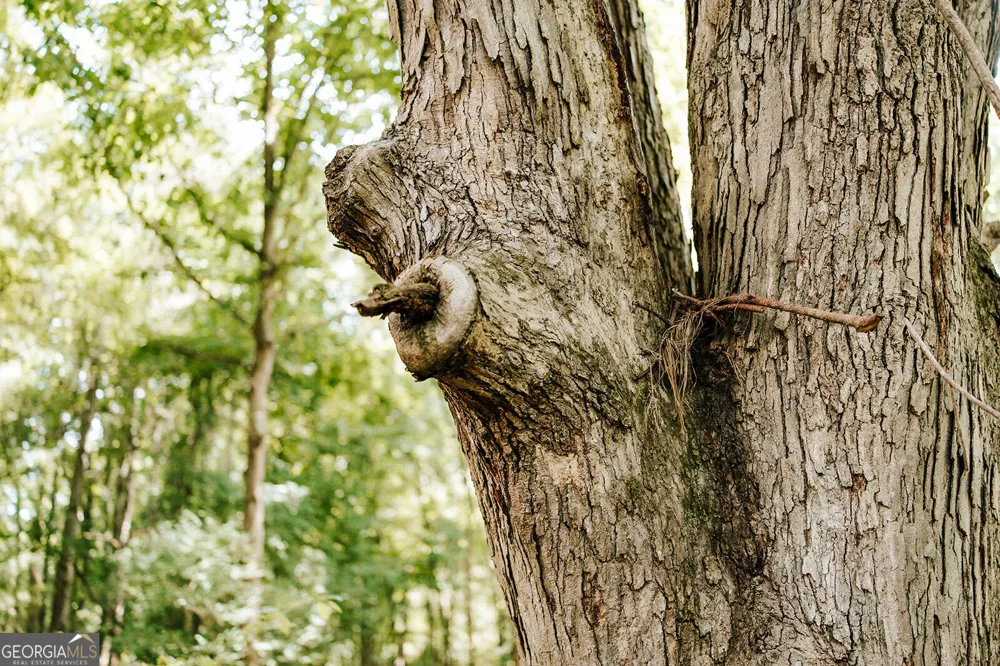 0 Stephens Salem RD Stephens, GA 30667