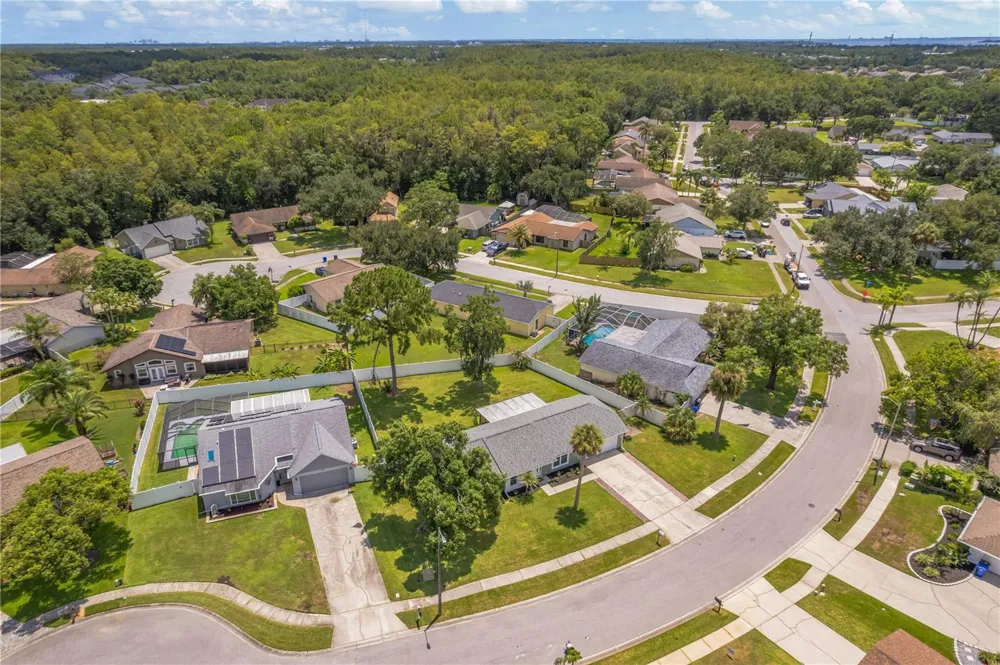 819 JACARANDA DRIVE Oldsmar, FL 34677
