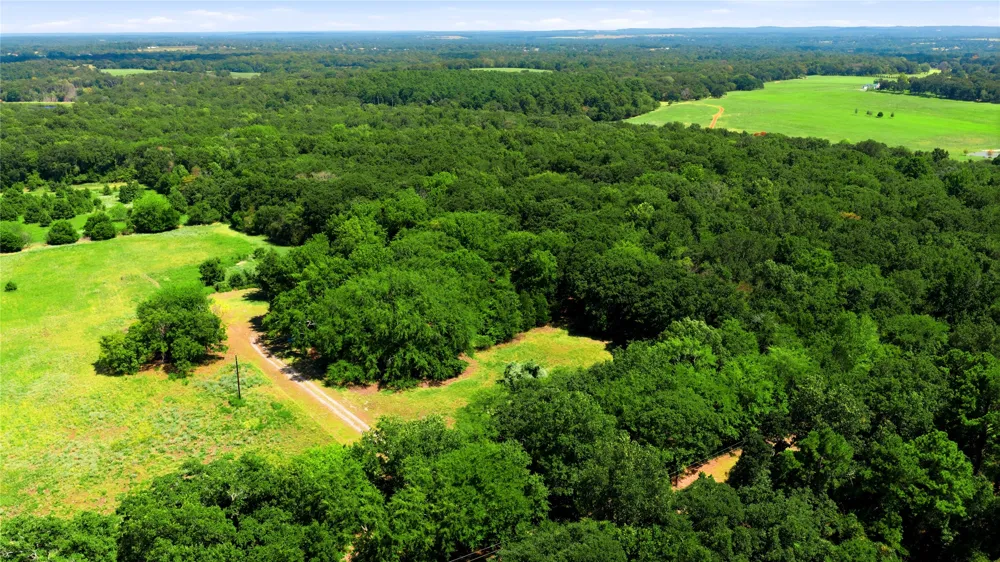 8418 County Road 3613 Murchison, TX 75778