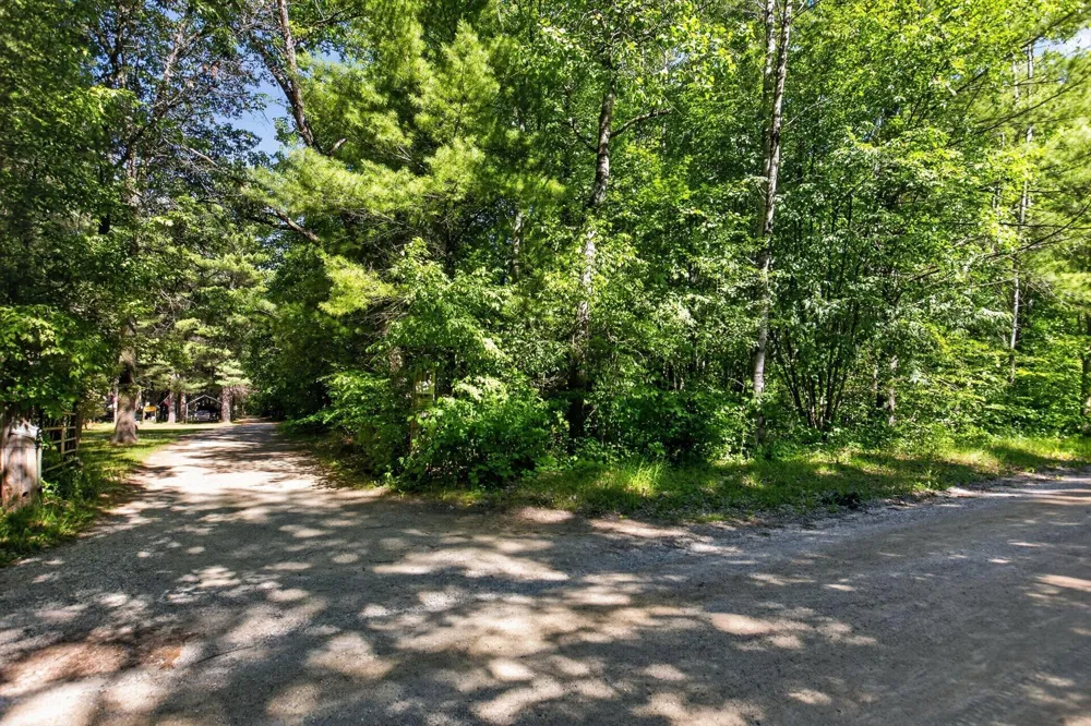 4398 Newcosta Avenue #Parcel A, B & E Morley, MI 49336