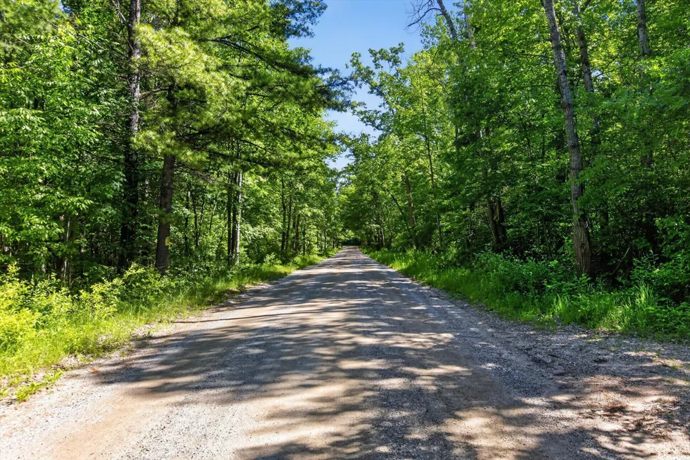4398 Newcosta Avenue #Parcel A, B & E Morley, MI 49336