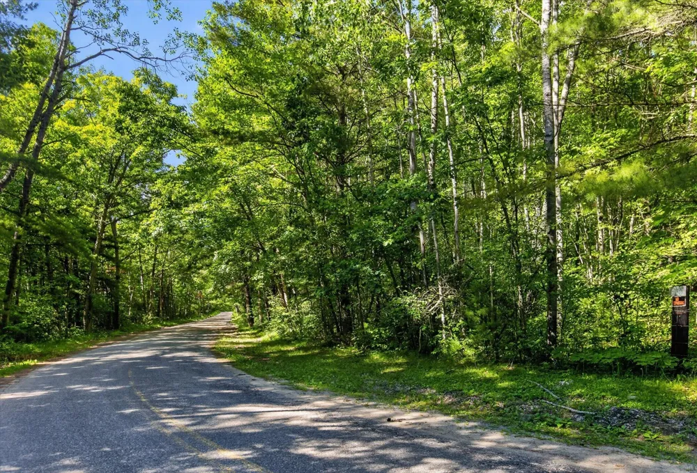 4398 Newcosta Avenue #Parcel A, B & E Morley, MI 49336