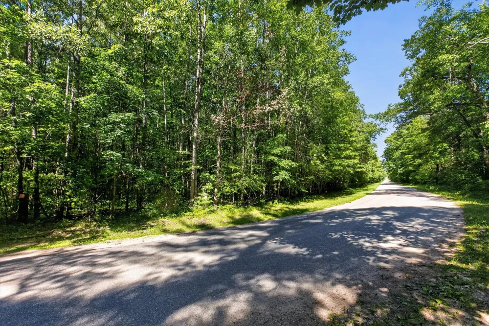 4398 Newcosta Avenue #Parcel A, B & E Morley, MI 49336