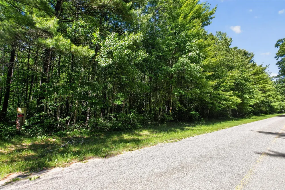 4398 Newcosta Avenue #Parcel A, B & E Morley, MI 49336