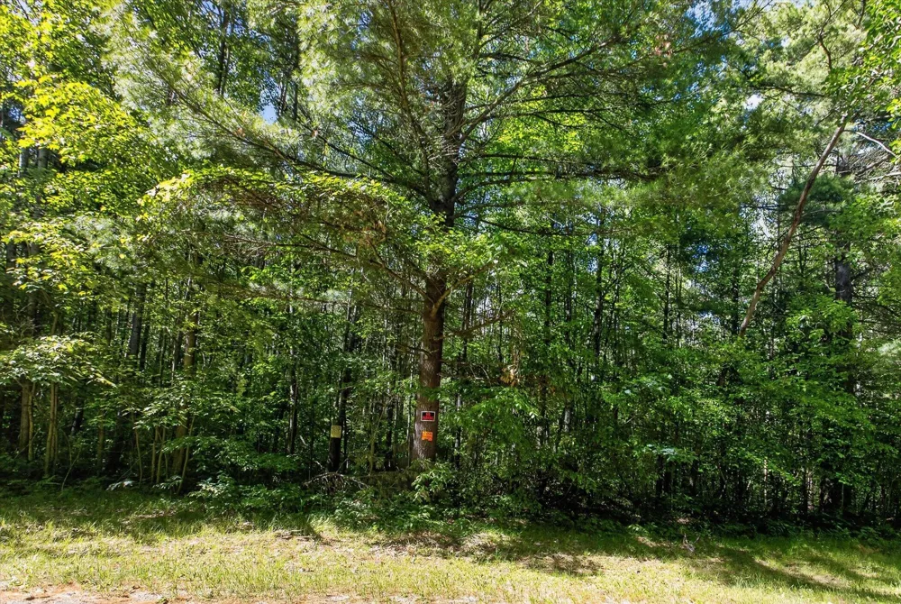 4398 Newcosta Avenue #Parcel A, B & E Morley, MI 49336