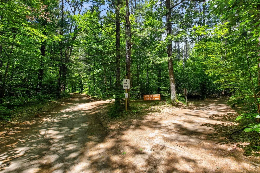 4398 Newcosta Avenue #Parcel A, B & E Morley, MI 49336