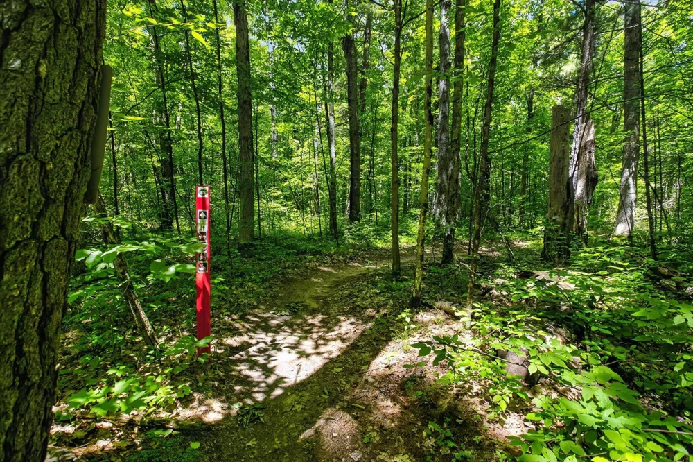 4398 Newcosta Avenue #Parcel A, B & E Morley, MI 49336