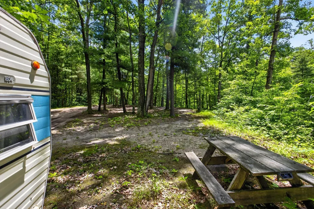 4398 Newcosta Avenue #Parcel A, B & E Morley, MI 49336