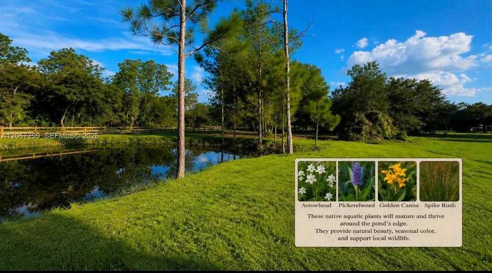 6700 Louella dr Fort Myers, FL 33905