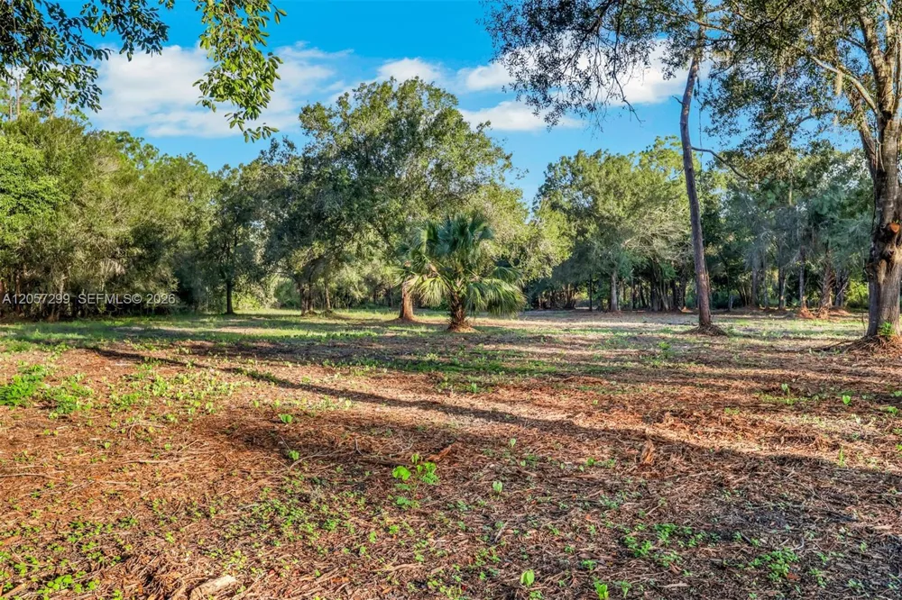 6700 Louella dr Fort Myers, FL 33905