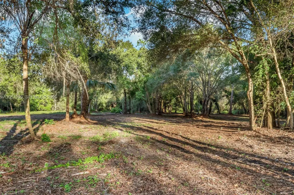 6700 Louella dr Fort Myers, FL 33905