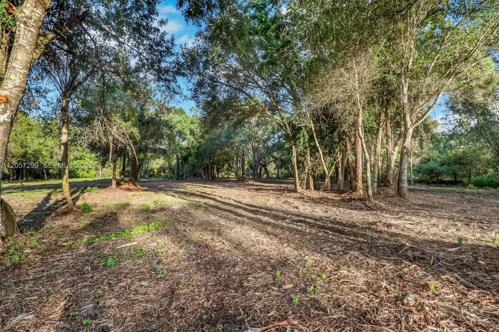 6700 Louella dr Fort Myers, FL 33905