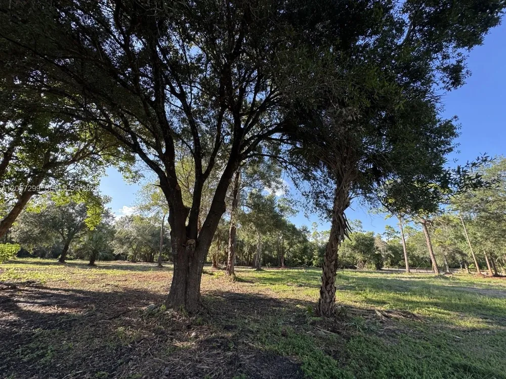 6700 Louella dr Fort Myers, FL 33905