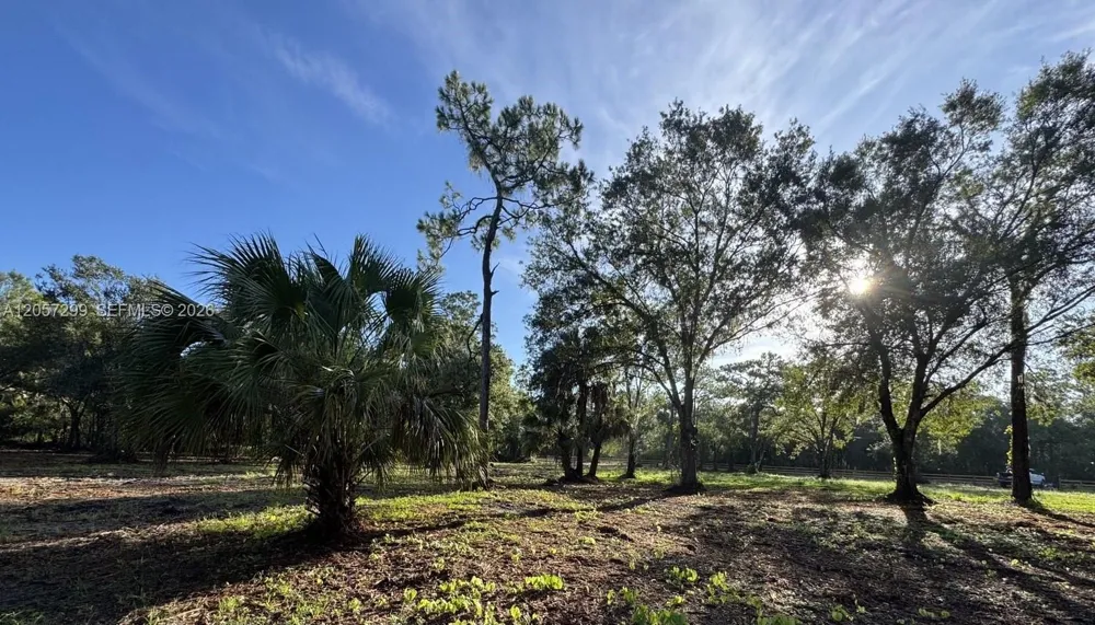 6700 Louella dr Fort Myers, FL 33905