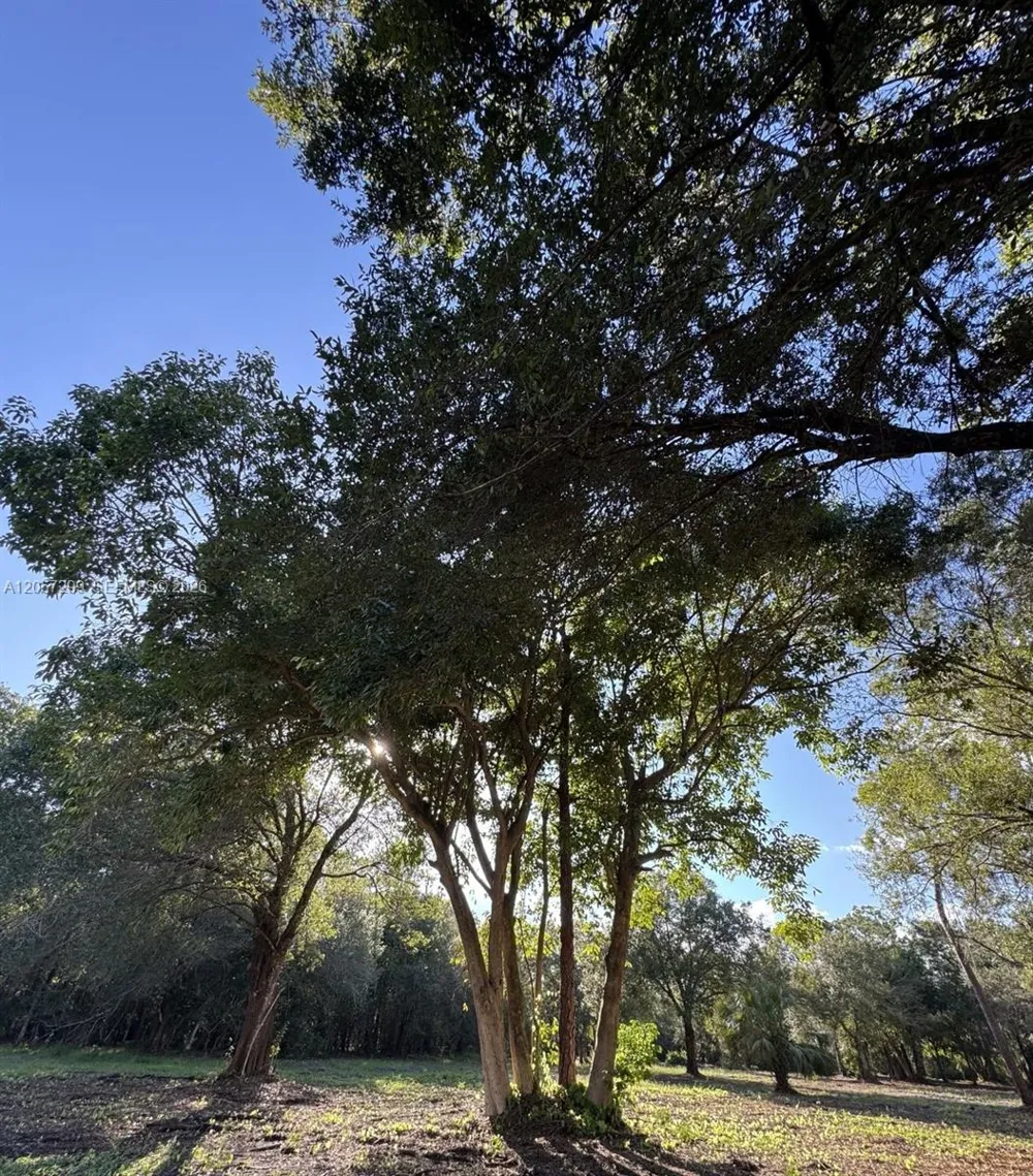 6700 Louella dr Fort Myers, FL 33905
