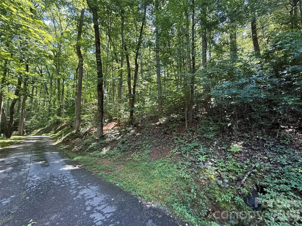 Lot 114 High Pines Loop Lake Lure, NC 28746
