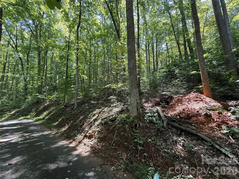 Lot 114 High Pines Loop Lake Lure, NC 28746