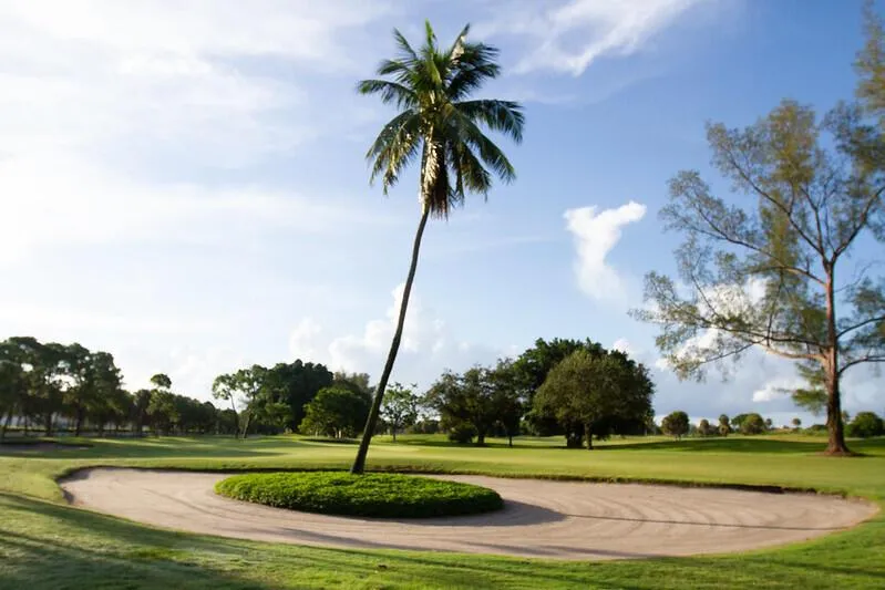 4030 W PALM AIRE DRIVE #306 Pompano Beach, FL 33069