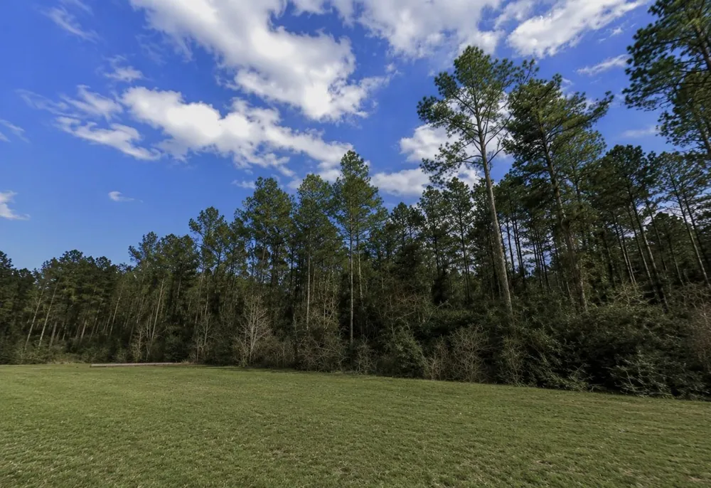 10711 Ruger Road Willis, TX 77378