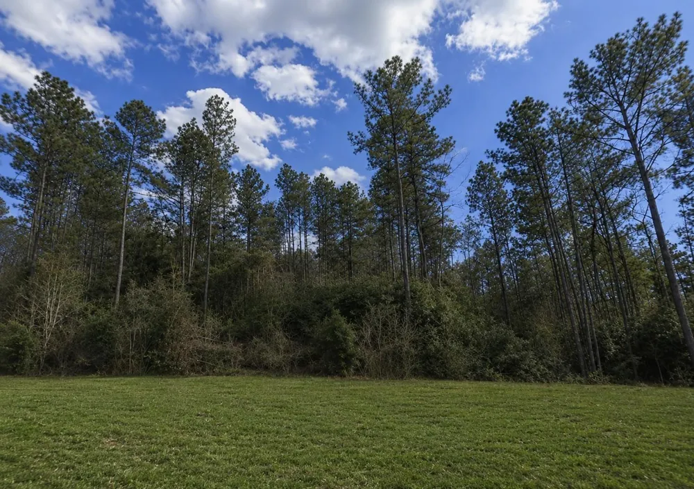 10711 Ruger Road Willis, TX 77378
