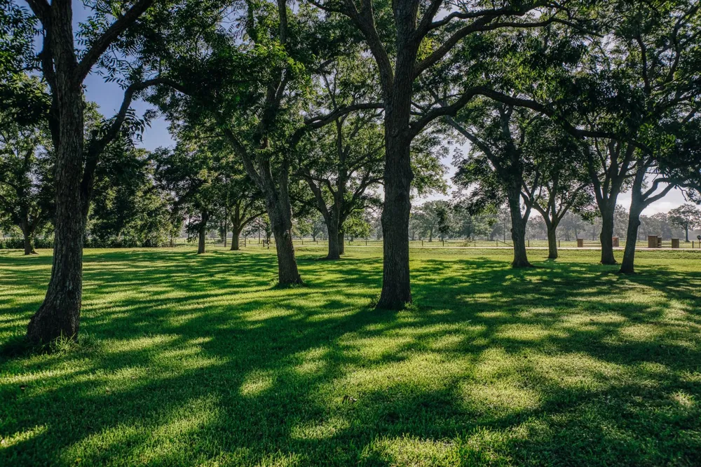4851 County Road 135 Road Wharton, TX 77488